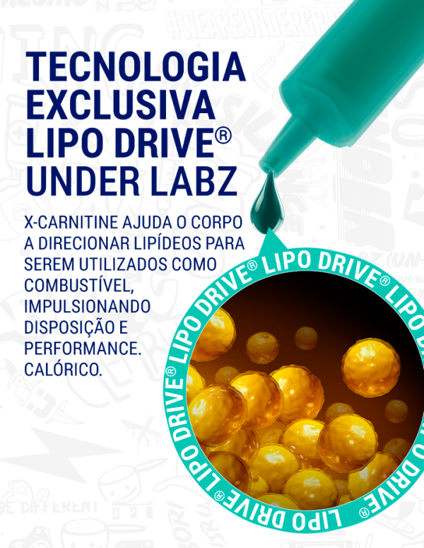 X-CARTINE ( 3-HIDROXI-4-N-TRIMETILAMINO-BUTIRATO) - Image 7